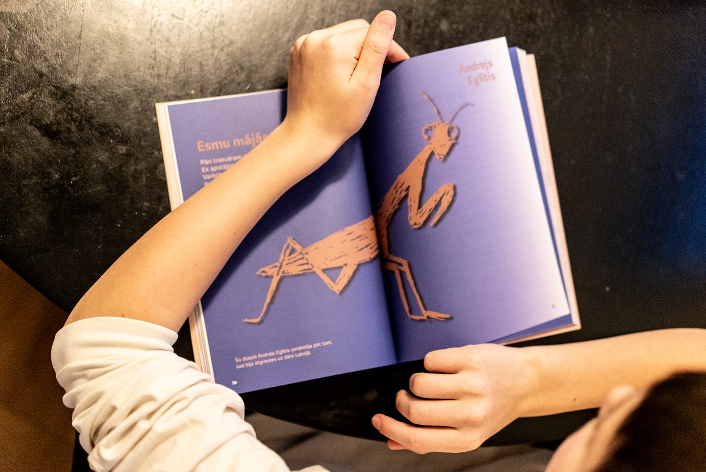 Skat, skatt! Zviedrijas latviešu literatūras izlase
