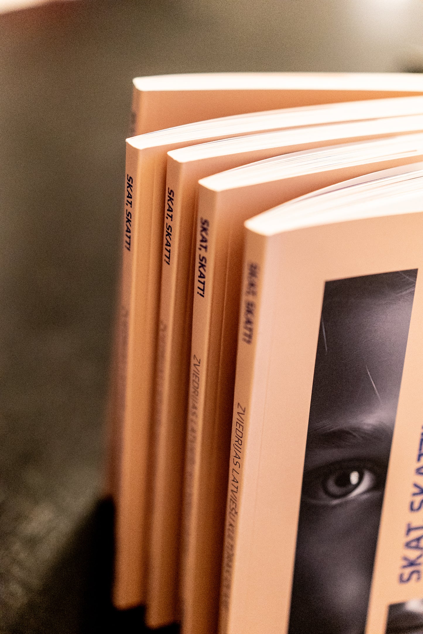 Skat, skatt! Zviedrijas latviešu literatūras izlase