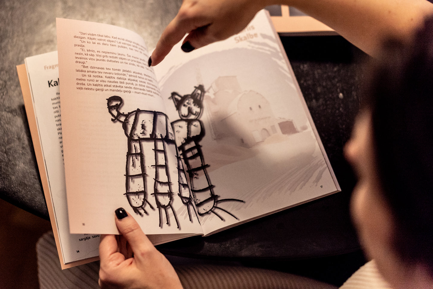 Skat, skatt! Zviedrijas latviešu literatūras izlase